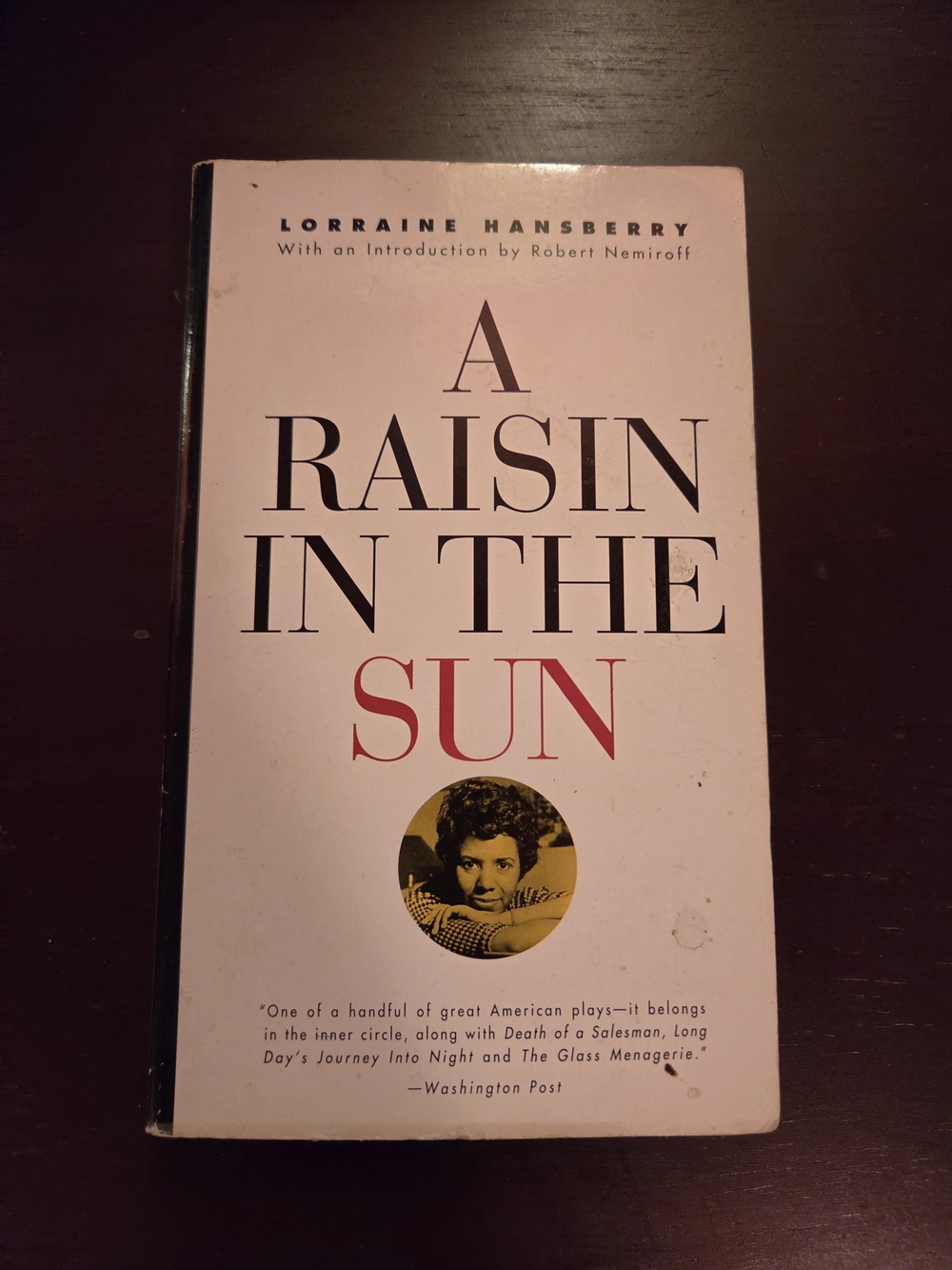 A Raisin in the Sun by Lorraine Hansberry